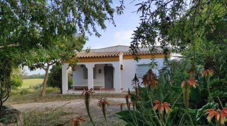 Cádiz - Vejer de la Frontera - 52000m2