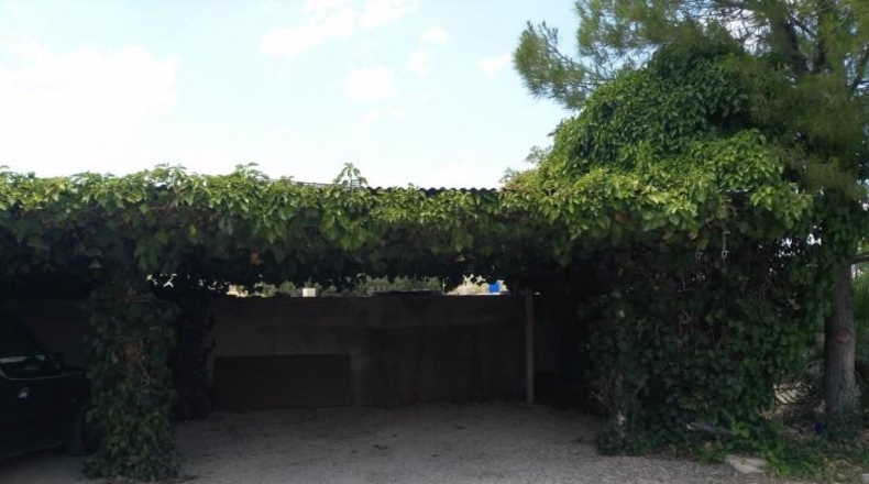 Murcia - Moratalla - 46700m2