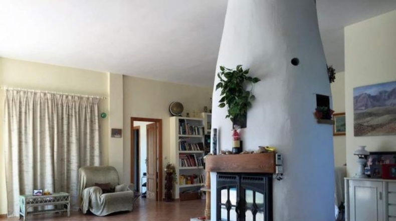 Murcia - Cartagena - 1380m2