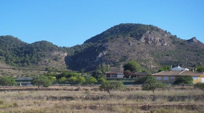 Murcia - Cartagena - 1380m2