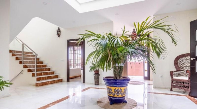 Sevilla - Villamanrique de la Condesa - 1100m2