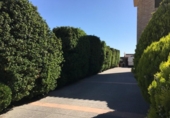Chalet independiente con terreno en venta en la España, Murcia, ref: TR135731 foto