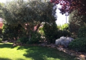Chalet independiente con terreno en venta en la España, Murcia, ref: TR135731 foto