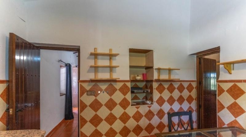 Málaga - Málaga - 150000m2