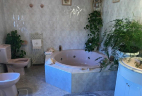 Foto 19