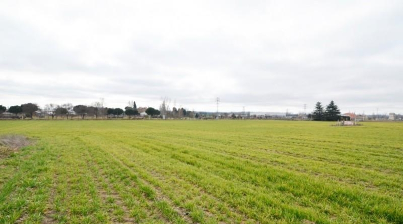 Salamanca - Salamanca - 20000m2