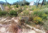 Land suitable for development for sale on España, Benidorm, ref: TR121573 photo