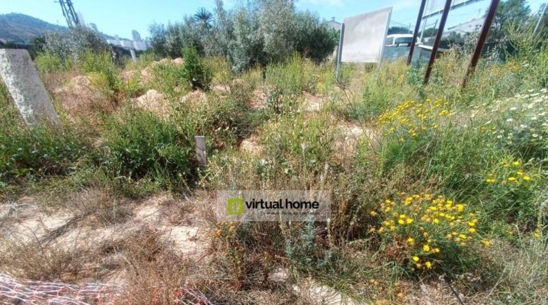 Alicante - Benidorm - 1000m2