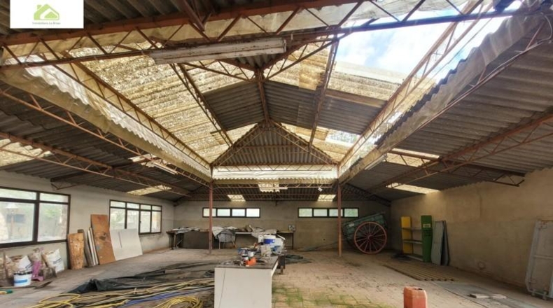 Zamora - Morales del Vino - 6000m2