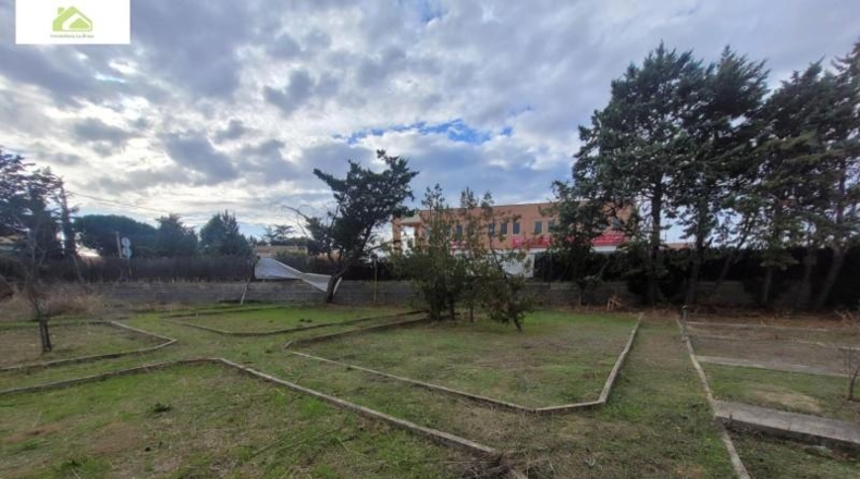 Zamora - Morales del Vino - 6000m2