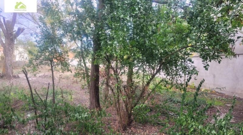 Zamora - Morales del Vino - 6000m2