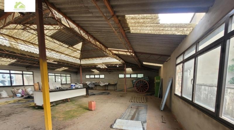 Zamora - Morales del Vino - 6000m2