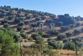 Antequera 179000&nbsp;m² 