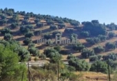 Xalet independent amb terreny en venda a la España, Antequera, ref.: TR145958 foto