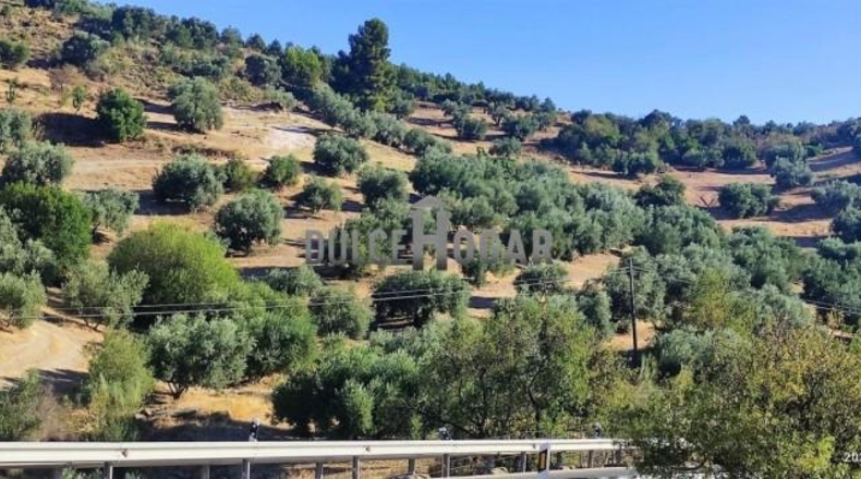 Málaga - Antequera - 179000m2