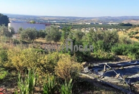 Antequera 179000&nbsp;m² 