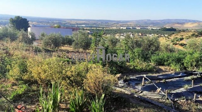 Málaga - Antequera - 179000m2