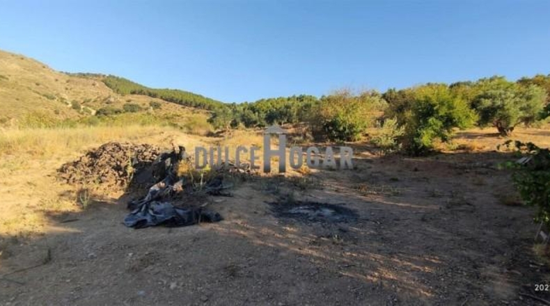 Málaga - Antequera - 179000m2