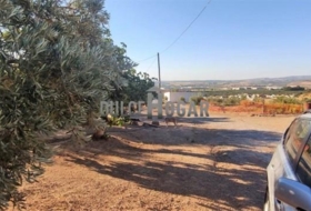 Antequera 179000&nbsp;m² 