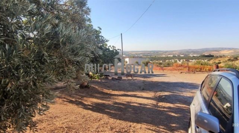 Málaga - Antequera - 179000m2