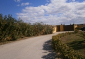 Xalet independent amb terreny en venda a la España, Novelda, ref.: TR146036 foto