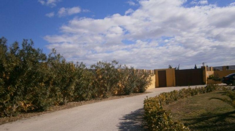 Alicante - Novelda - 10000m2
