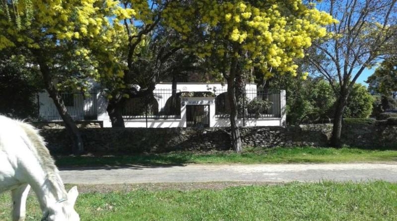 Cáceres - Tejeda de Tiétar - 165000m2