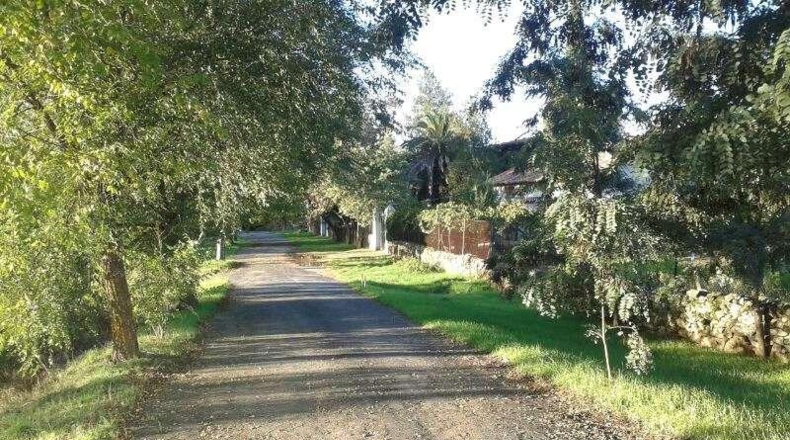 Cáceres - Tejeda de Tiétar - 165000m2