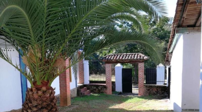 Cáceres - Tejeda de Tiétar - 165000m2