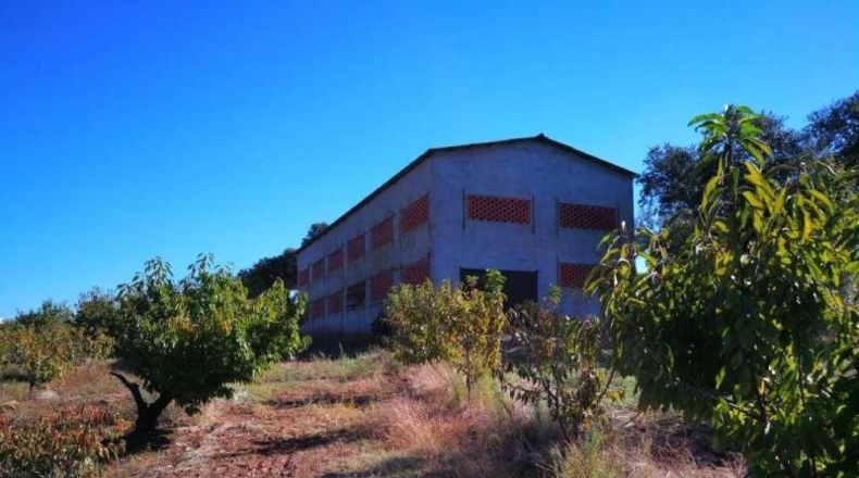 Cáceres - Tejeda de Tiétar - 165000m2
