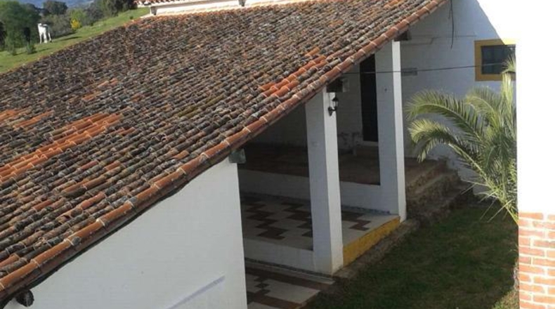 Cáceres - Tejeda de Tiétar - 165000m2