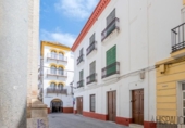 Chalet independiente con terreno en venta en la España, Écija, ref: TR265137 foto