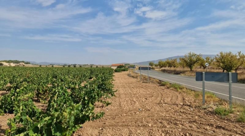 Alicante - Dolores - 138210m2