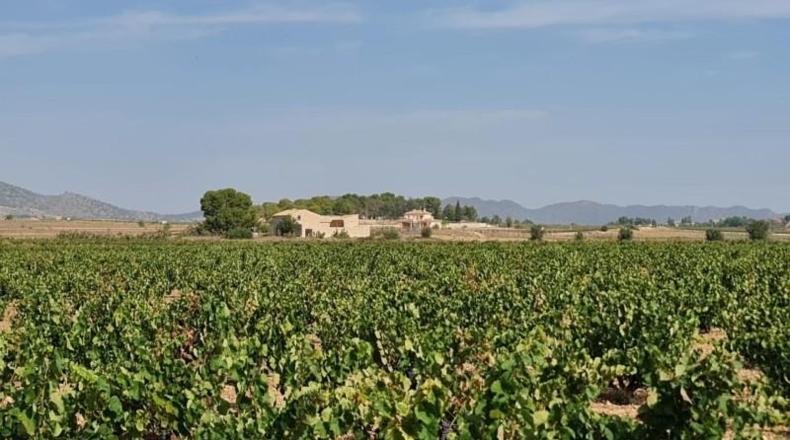 Alicante - Dolores - 138210m2