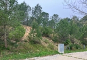 Suelo urbano en venta en la España, l'Escala, ref: TR243344 foto