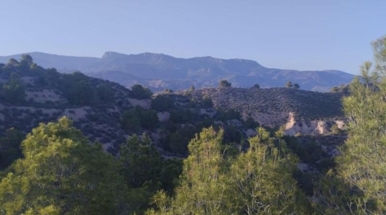 Murcia - Totana - 1420000m2