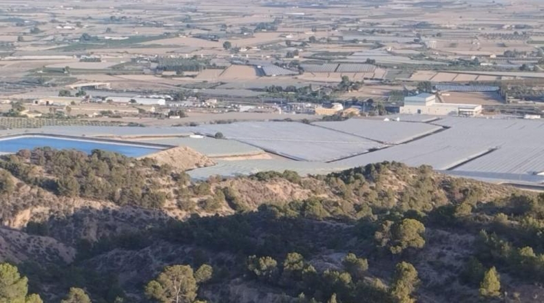 Murcia - Totana - 1420000m2