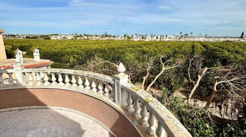 Alicante - Rojales - 800m2