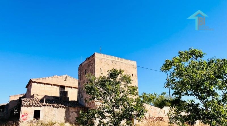 Islas Baleares - Campos - 30000m2