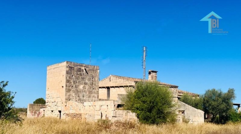 Islas Baleares - Campos - 30000m2