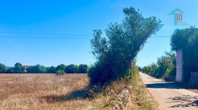 Islas Baleares - Campos - 30000m2