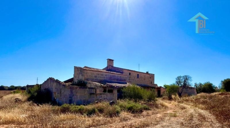 Islas Baleares - Campos - 30000m2