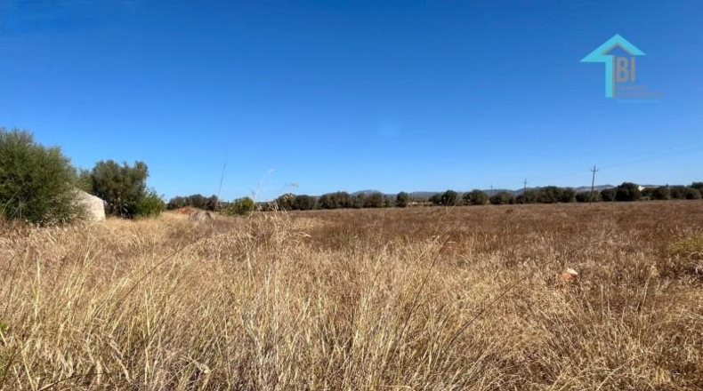Islas Baleares - Campos - 30000m2