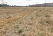 Land suitable for development for sale on España, Mazarrón, ref: TR123540 photo