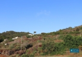 Xalet independent amb terreny en venda a la España, Mazo, ref.: TR277759 foto
