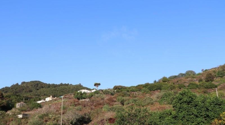Santa Creu de Tenerife - Poleal - 7376m2