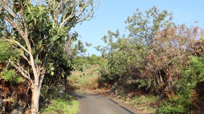 Santa Creu de Tenerife - Poleal - 7376m2