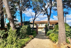 Foto 11