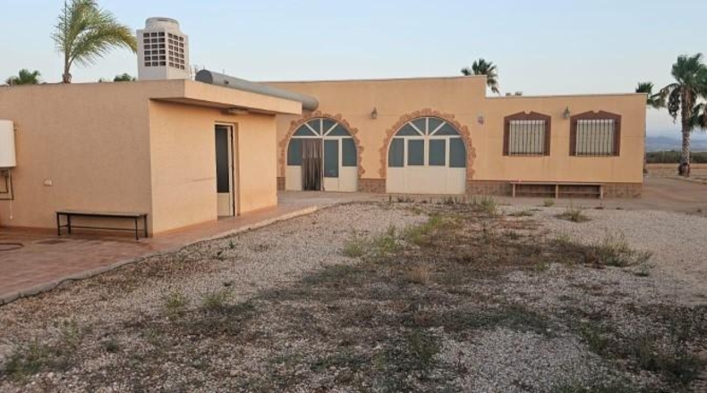 Murcia - Fuente Álamo de Murcia - 20000m2