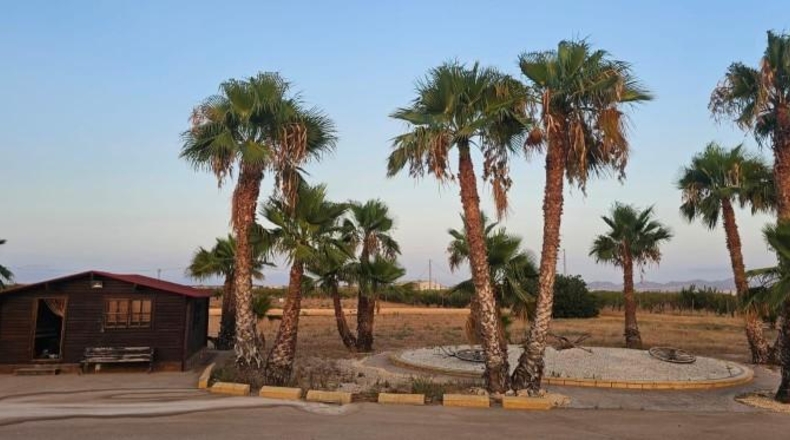 Murcia - Fuente Álamo de Murcia - 20000m2